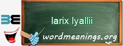 WordMeaning blackboard for larix lyallii